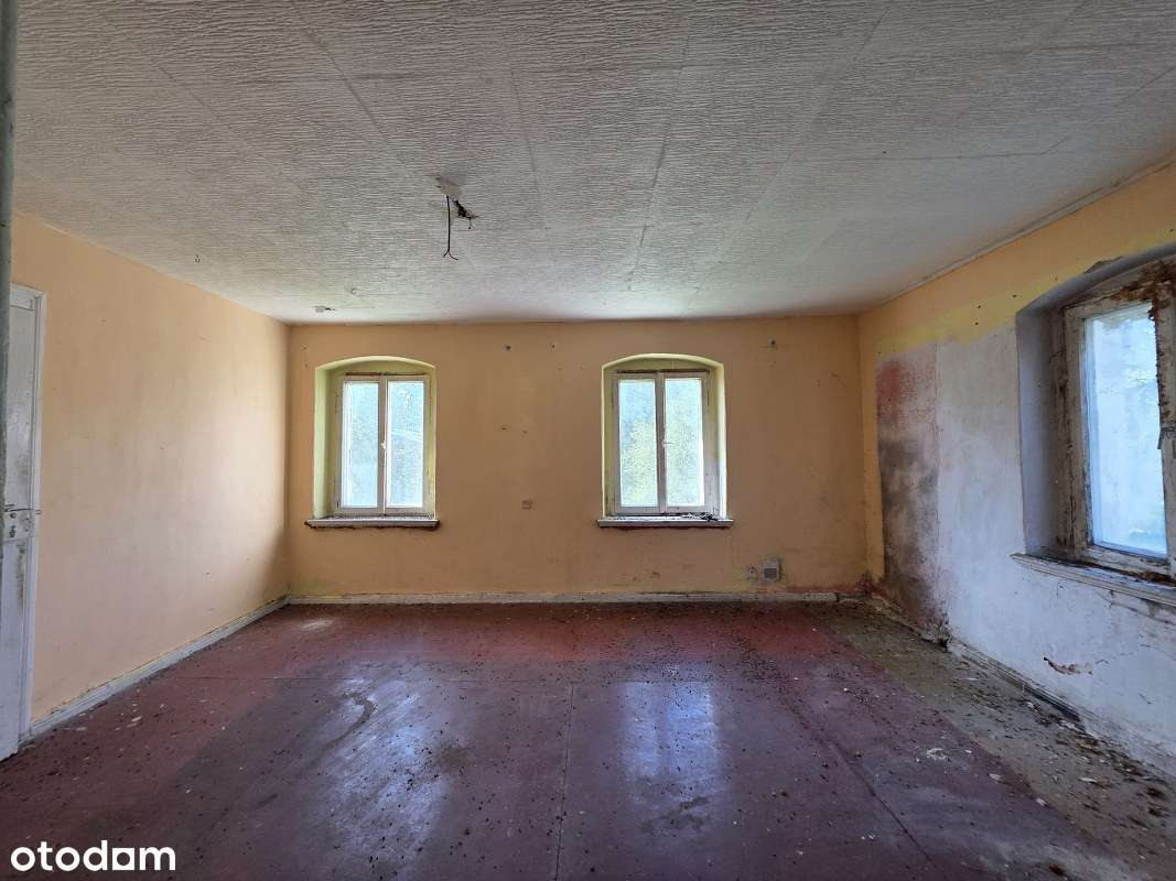 Udziały w Kamienicy oraz działka-10