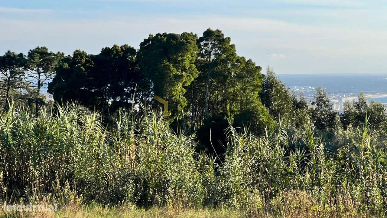 Terreno com excelente vista mar na Serra da Boa Viagem-13