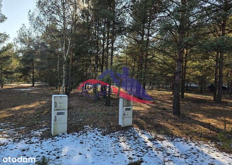 Sprzedam urokliwą działkę - Tuliska - Pełny obrazek: 2/11