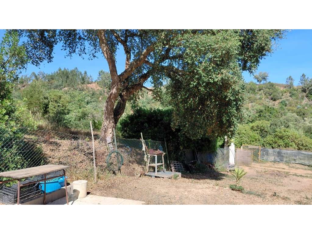 Lote em São Teotónio-10
