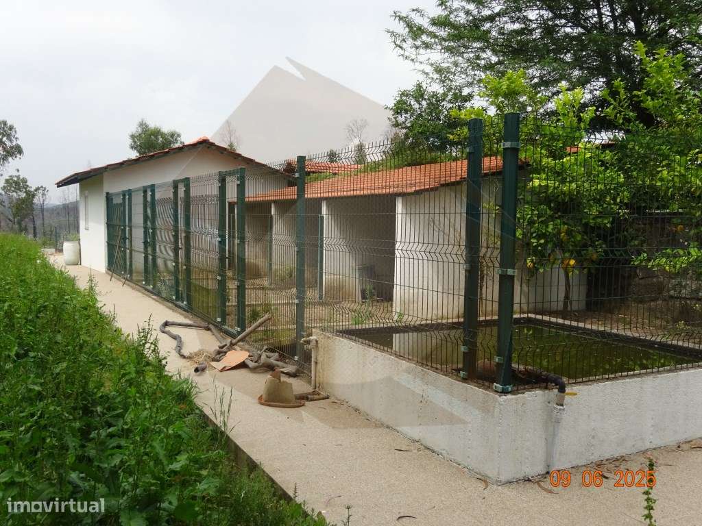 MORADIA / QUINTINHA - GONDOMAR-19