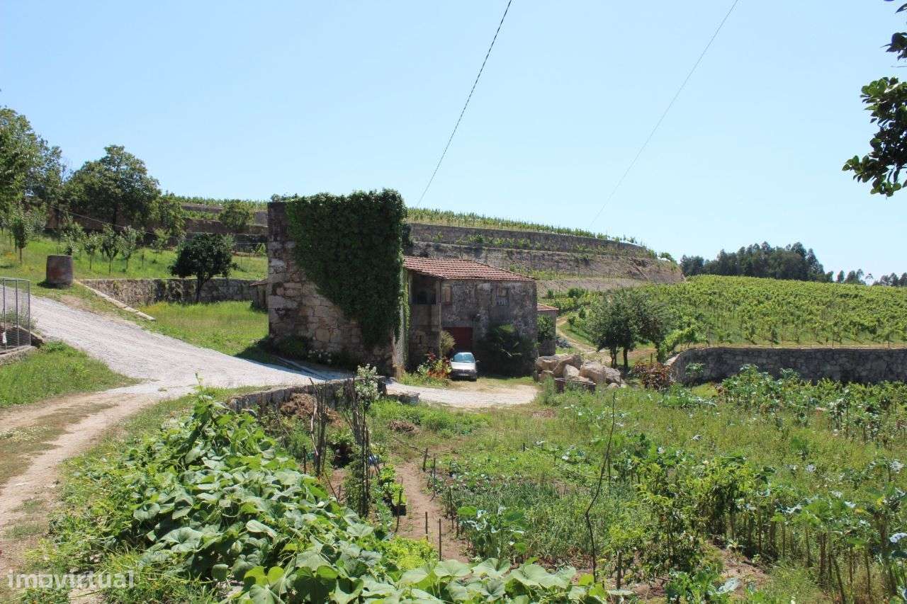 Fantástica Quinta Santo Tirso - Grande imagem: 4/20