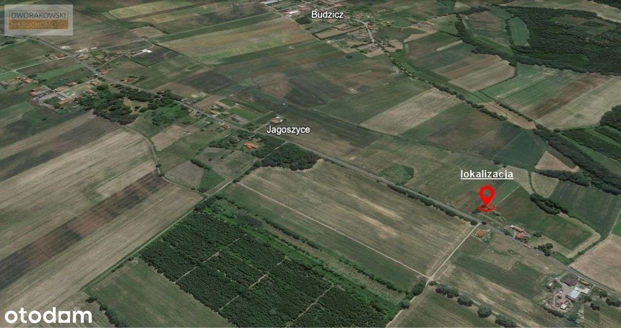 Działki budowlane, dojazd asalt, media, światłowód - Pełny obrazek: 5/5