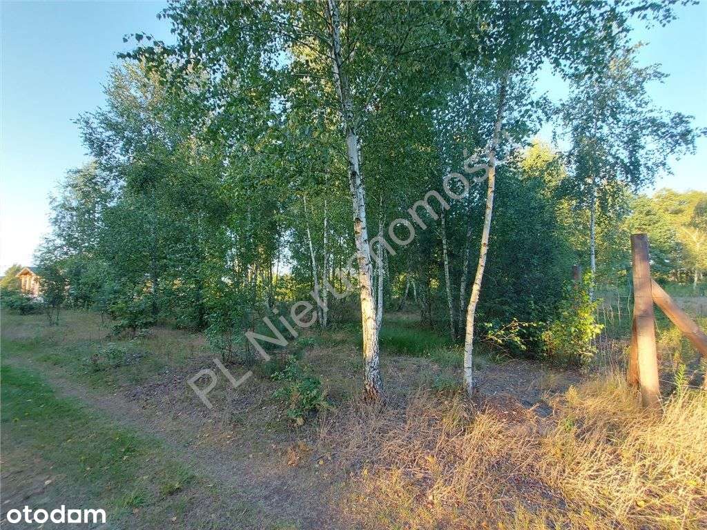 Nowa Zabudowa, Zielona Okolica. - Pełny obrazek: 4/12