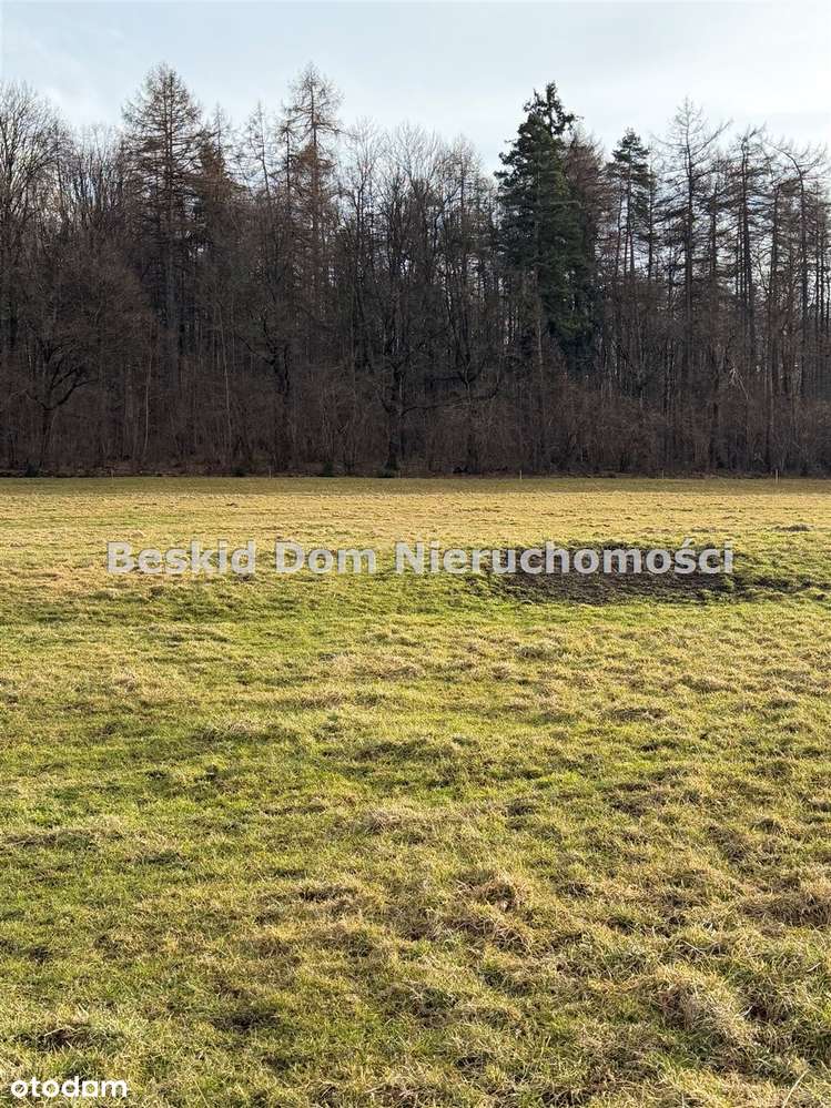 Działka na sprzedaż, Jasienica-7