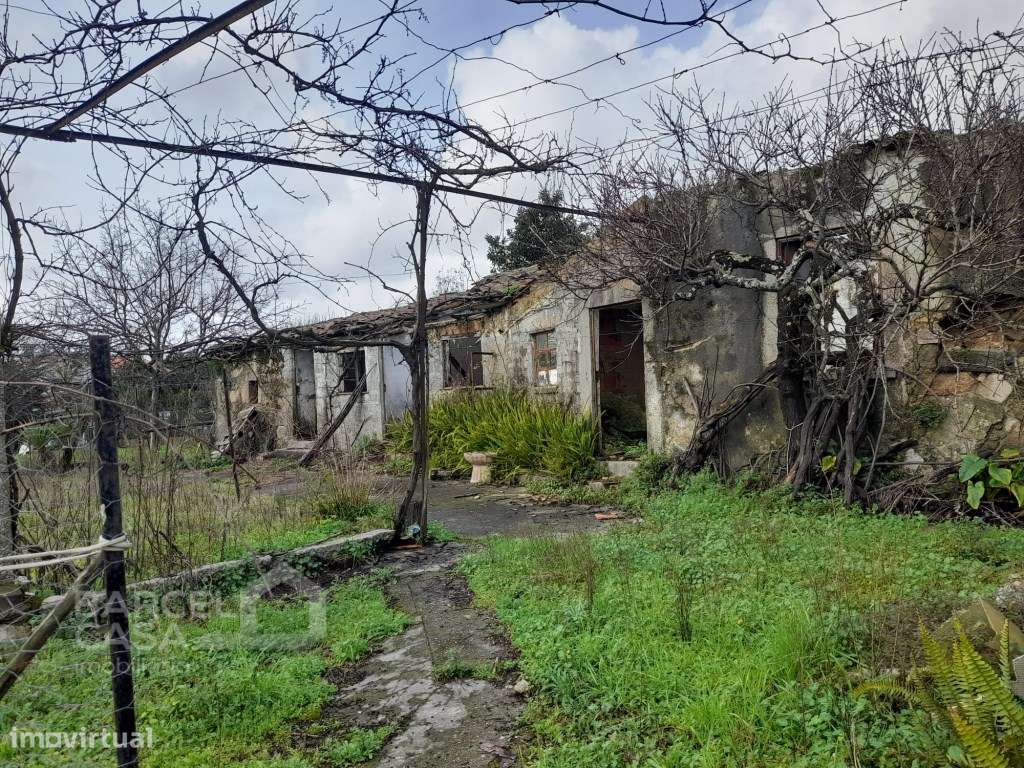 Propriedade em Galegos (Santa Maria) - Barcelos-16