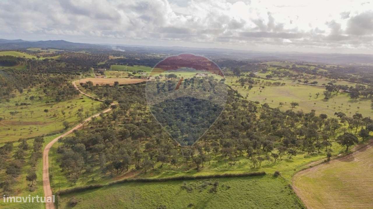 Terreno  para venda - Grande imagem: 4/13