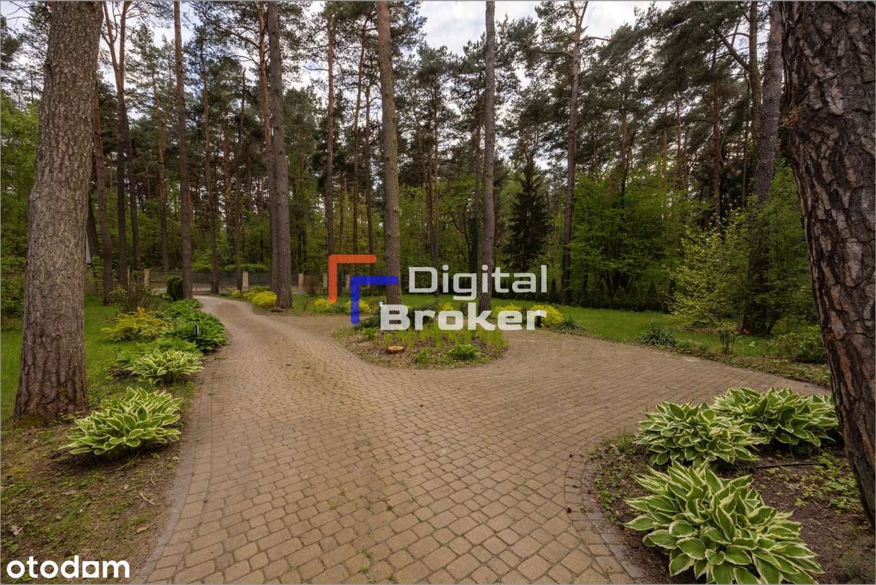 Magdalenka ⭐️ Dom w Lesie ⭐️ - Pełny obrazek: 3/20