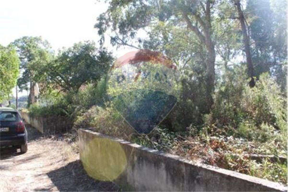 Terreno T0 para venda - Grande imagem: 2/11