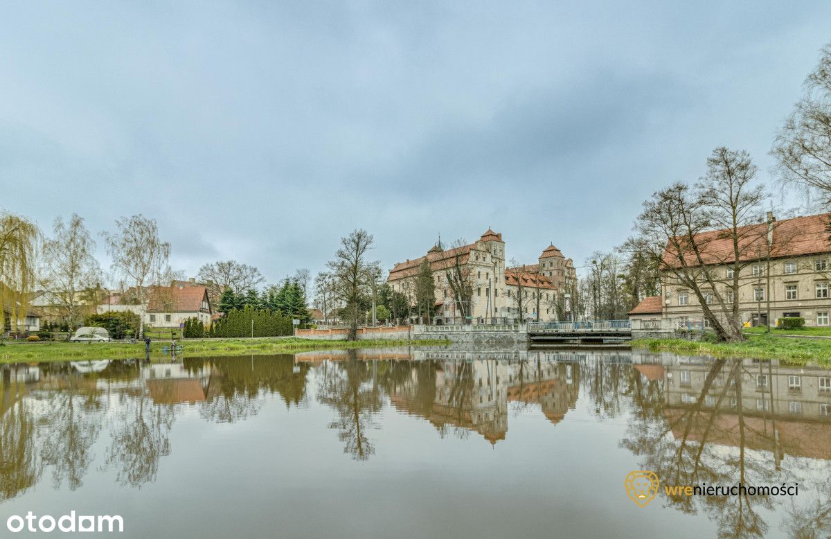 Restauracja nad wodą | Raj dla miłośników zieleni