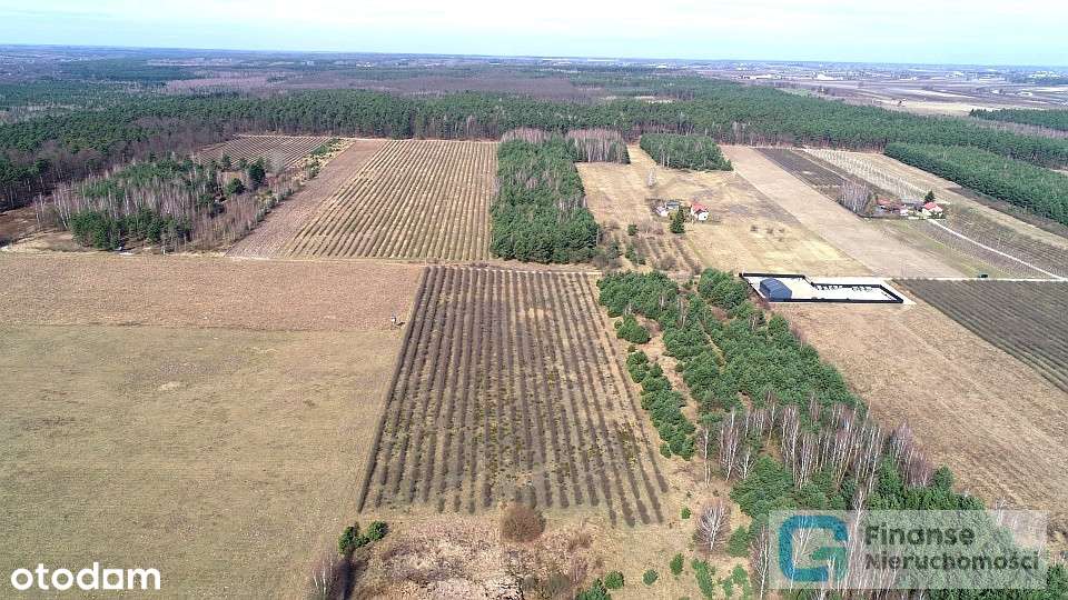 Działka inwestycyjna, 17 374 m2, Niższa Cena! - Pełny obrazek: 5/14