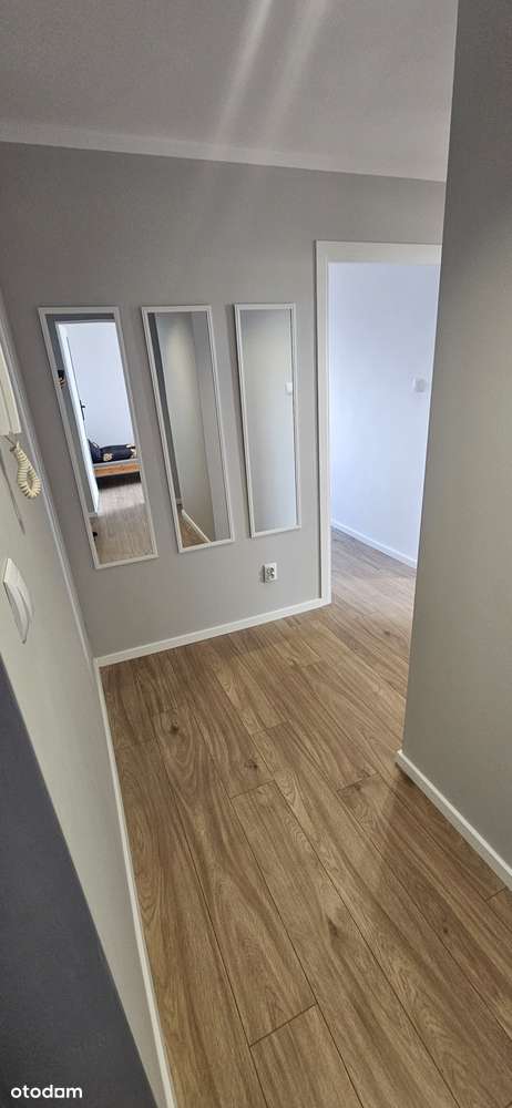 Sprzedam mieszkanie 3-pok Poznań  Centrum