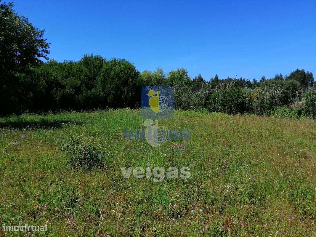 Terreno urbanizável em Batalha - Grande imagem: 2/20