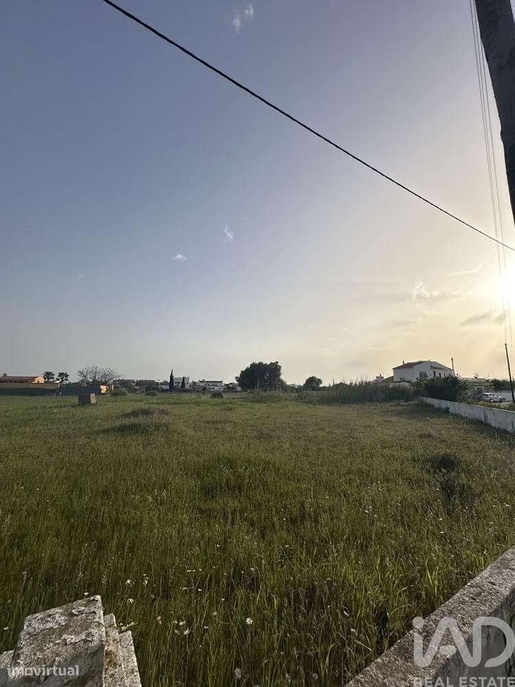 Terreno Agrícola em Guia de 2960,00 m2 - Grande imagem: 5/5