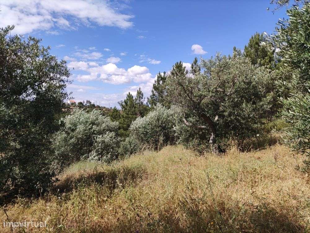 Quintinha - Grande imagem: 3/27