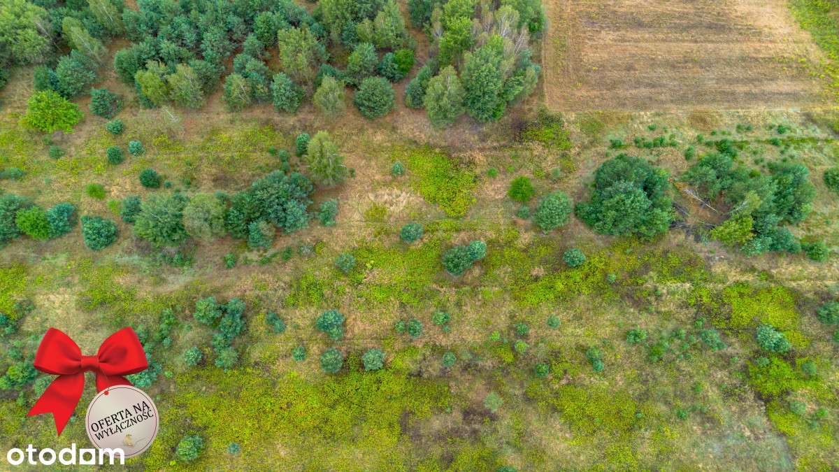 Działka pod zabudowę jednorodzinną w Wólce Krasien - Pełny obrazek: 4/10