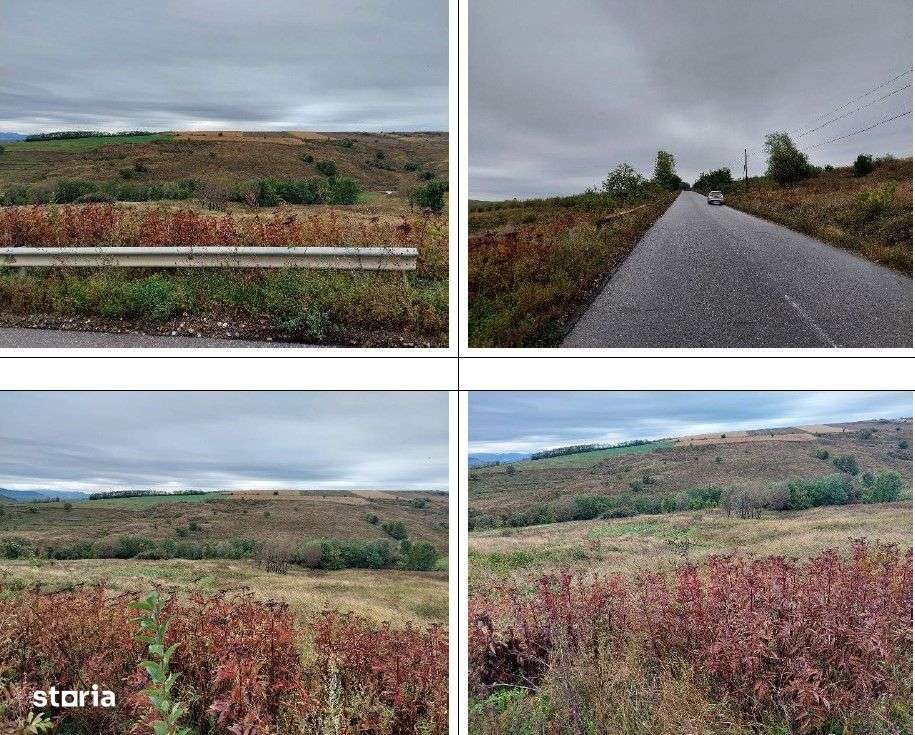 Teren extravilan pasune Ardeoani, ID: R2404603 - Imagine principală: 4/9