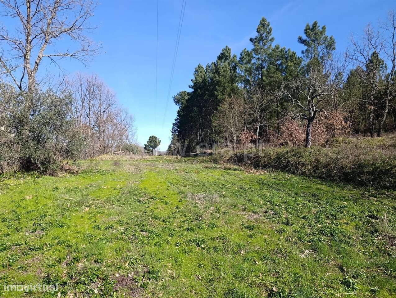 Terreno Rústico / Belmonte, Gaia - Grande imagem: 5/20