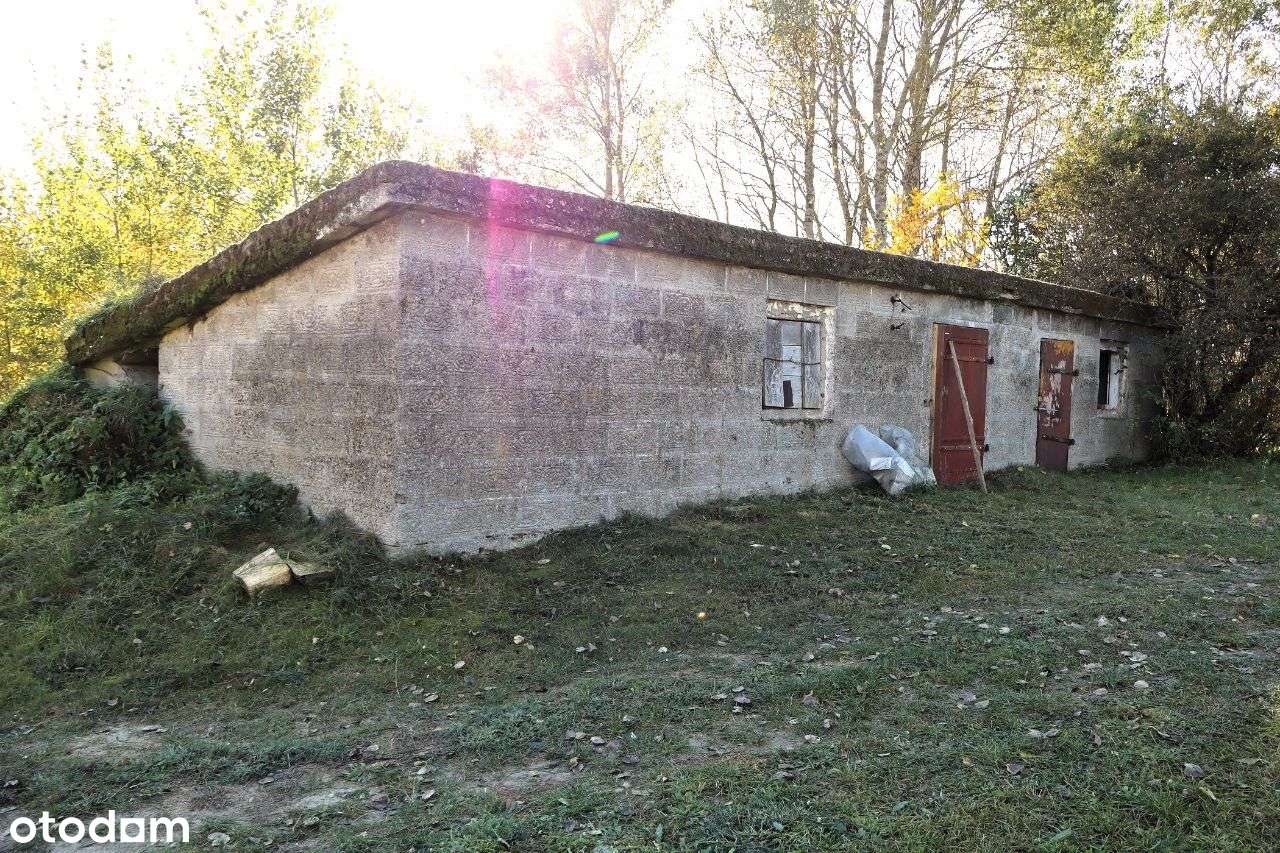 Siedlisko w Głuchowie na dużej działce-11