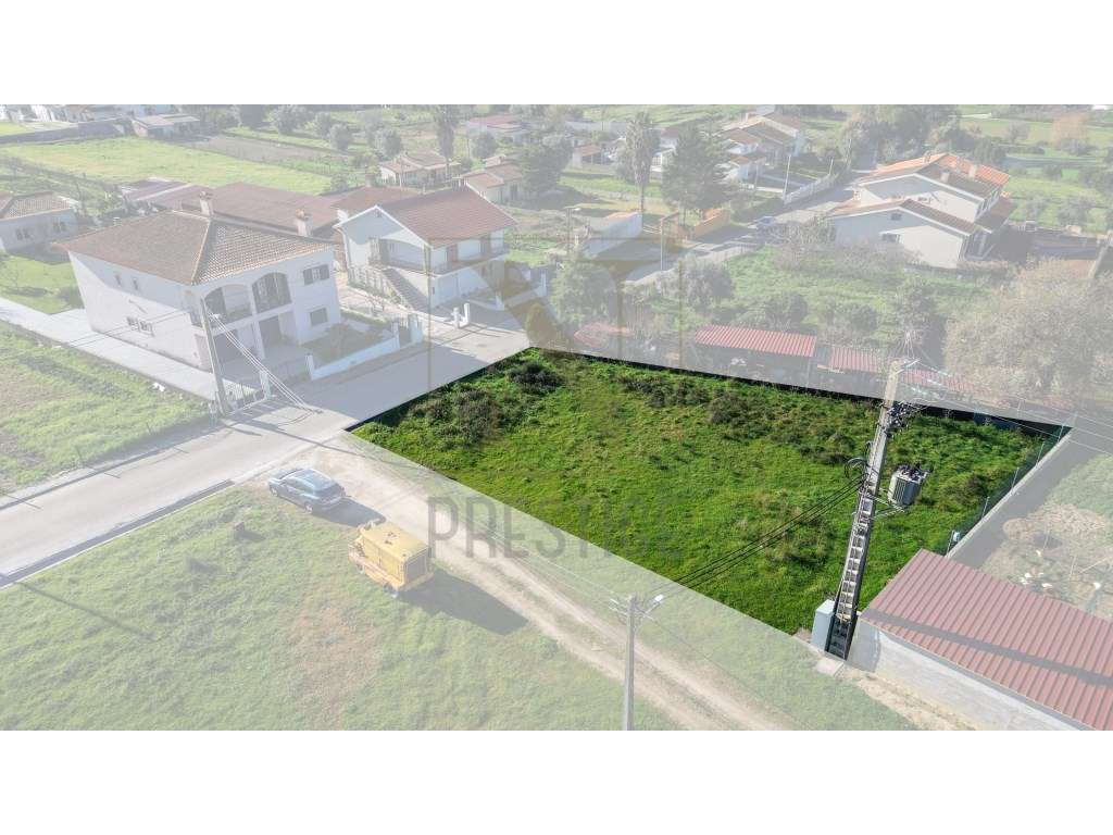 Terreno em S. Martinho de Árvore - Grande imagem: 4/9