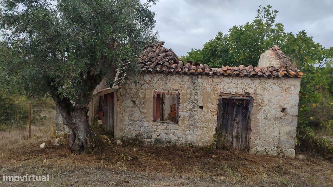 Casa de Campo em São Vicente do Paul, Santarém - Oportunidade Única-25