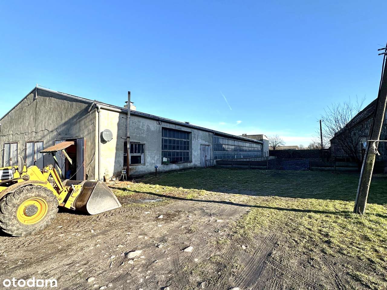 Gospodarstwo rolne | Hala | Biurowiec |  Mieszkania  i  Magazyn - Pełny obrazek: 5/14