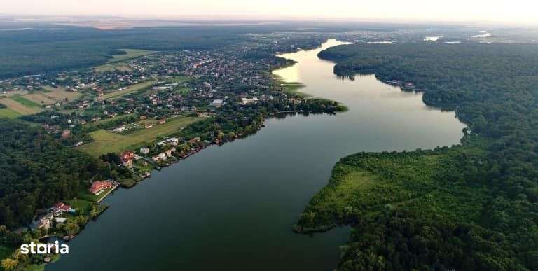 Teren intravilan 2000 mp,  Silistea Snagovului - Front PADURE - Imagine principală: 3/4