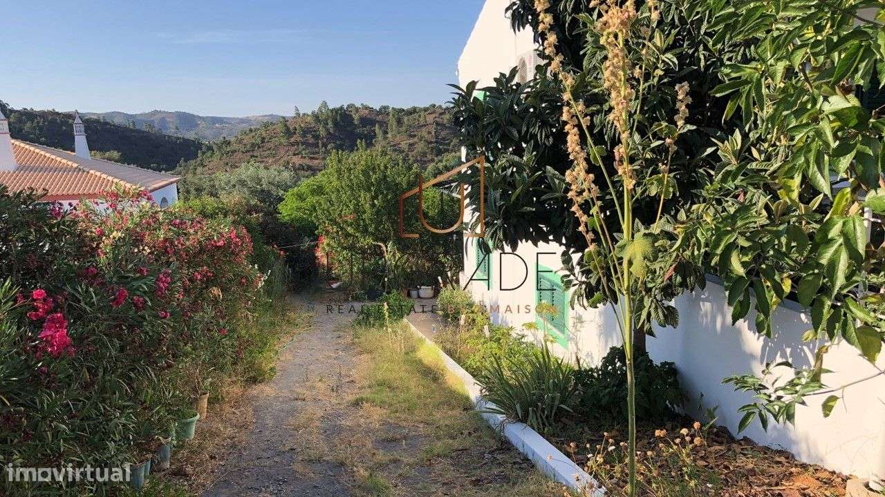Moradia típica de 3 quartos com terreno amplo - São Brás de Alportel. - Grande imagem: 3/12