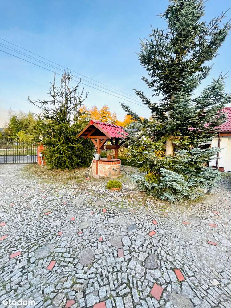 Duży dom 274 m2 z pięknym ogrodem i stawem -Słone , Zielona Góra-9