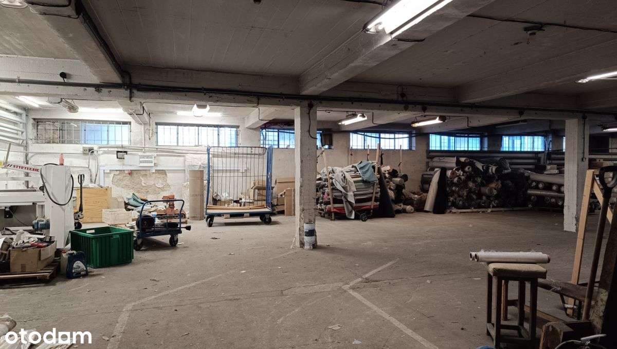 Chylonia 255m2 magazyn/pom. prod. (c.o. w cenie) - Pełny obrazek: 1/10