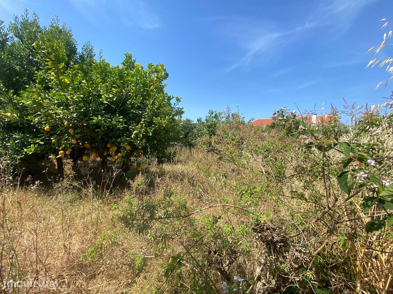 Terreno para Construção de 4 Moradias com Loteamento Aprovado-8
