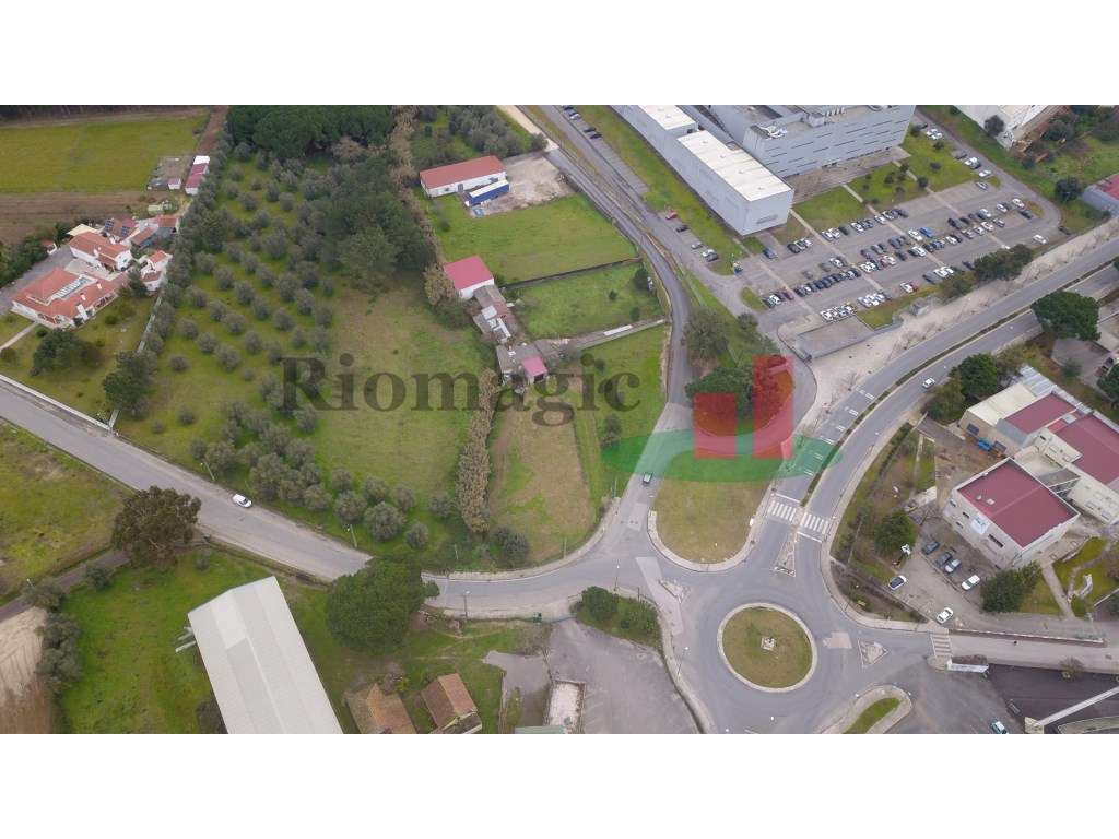 Terreno - Rio Maior - Grande imagem: 2/31