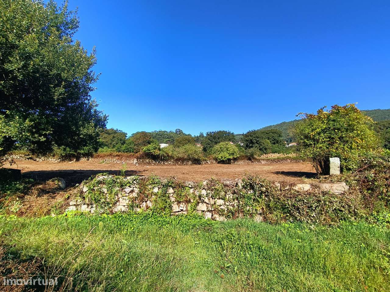 Terreno, Afife - Grande imagem: 2/10