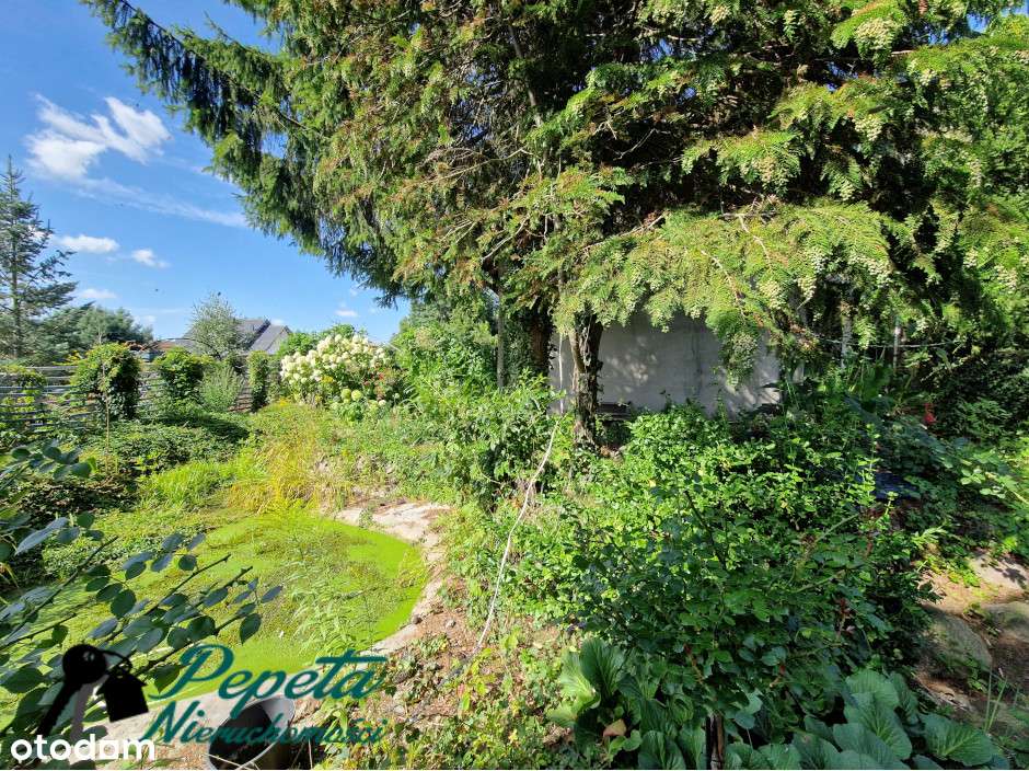 Dom wolnostojący, stan surowy zamknięty. Zalasewo. - Pełny obrazek: 5/12