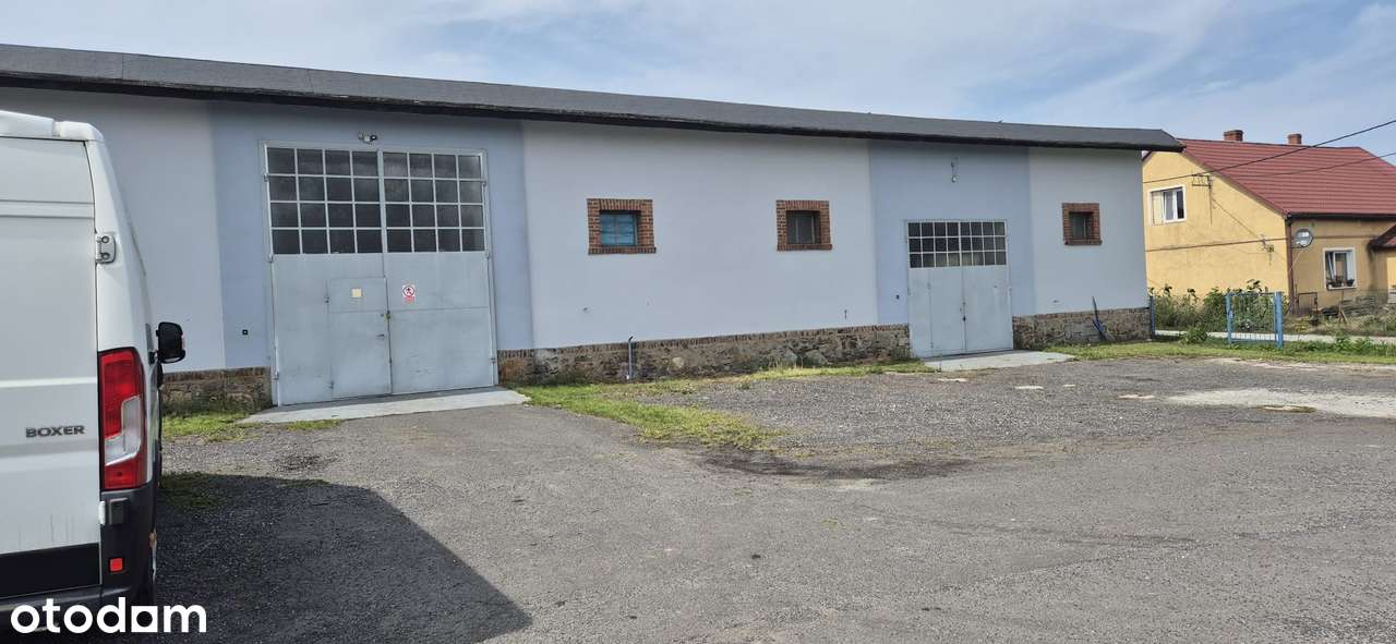 Hala na wynajem z monitoringiem i parkingiem - Pełny obrazek: 4/11