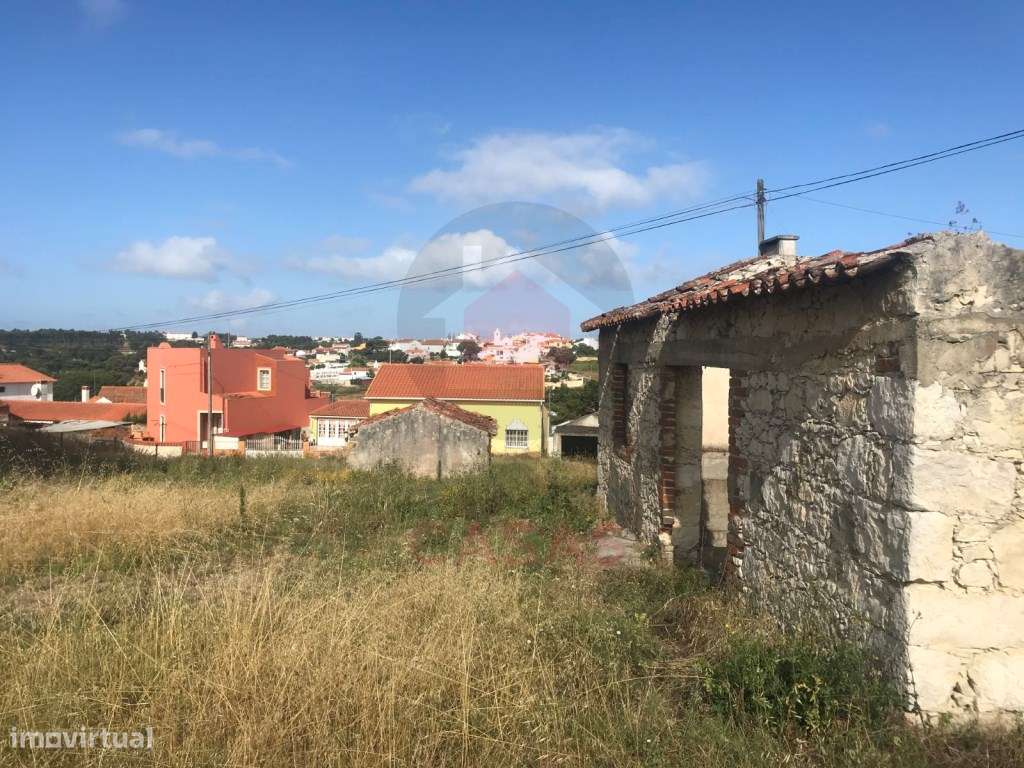 Terreno com ruina situado no Nadadouro - Grande imagem: 5/5