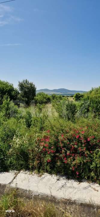 Teren intravilan de vanzare, 7000 mp, DN 17, zona Podirei - Imagine principală: 2/3