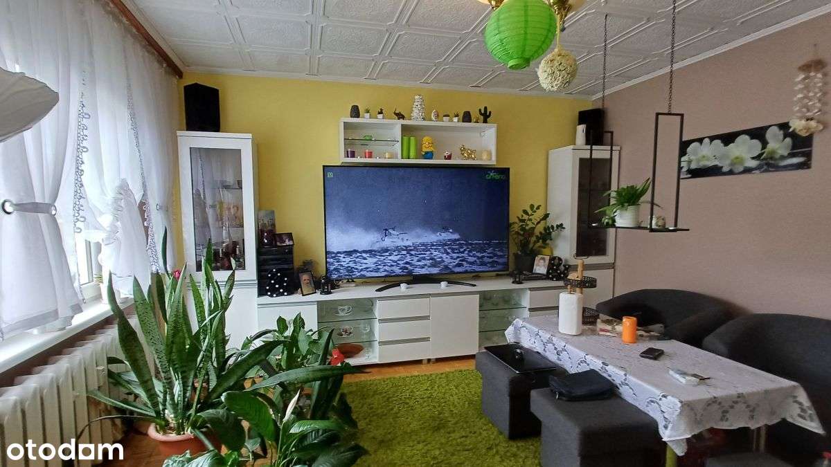 Rozkładowe 3 -pokojowe na Borku-2