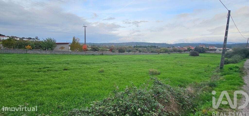 Terreno para construção em São Miguel, Santa Eufémia e Rabaçal - Grande imagem: 5/26