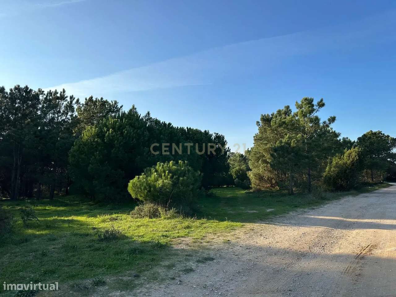 Terreno Rústico de 10.450m² – Aguncheiras, Azóia (Perto da Aldeia do M - Grande imagem: 2/6