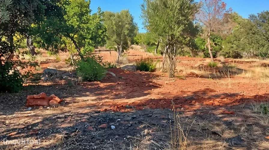 Terreno rústico plano com 4240 m2 no Algarve-10