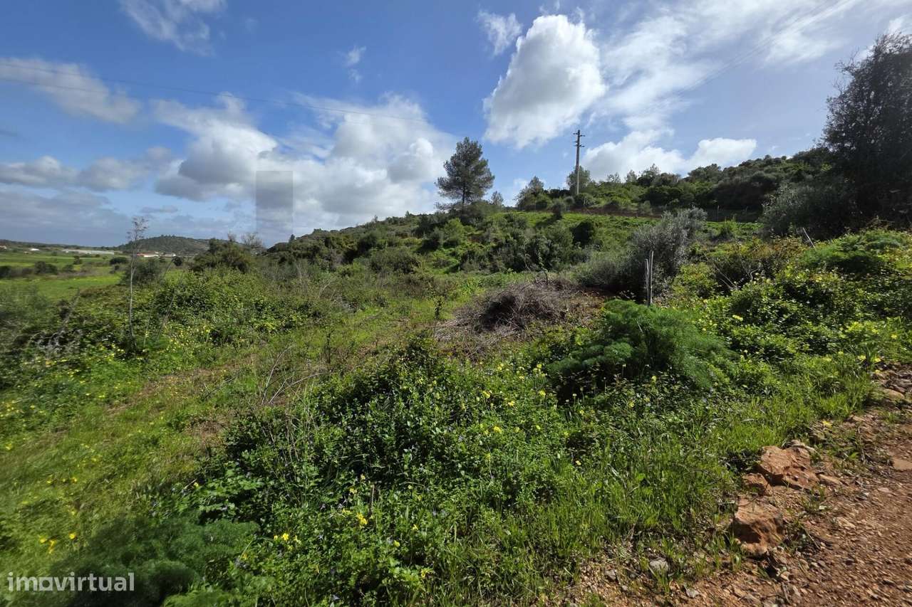 Terreno Rústico com 7.200m2 perto de Odiaxere.-1