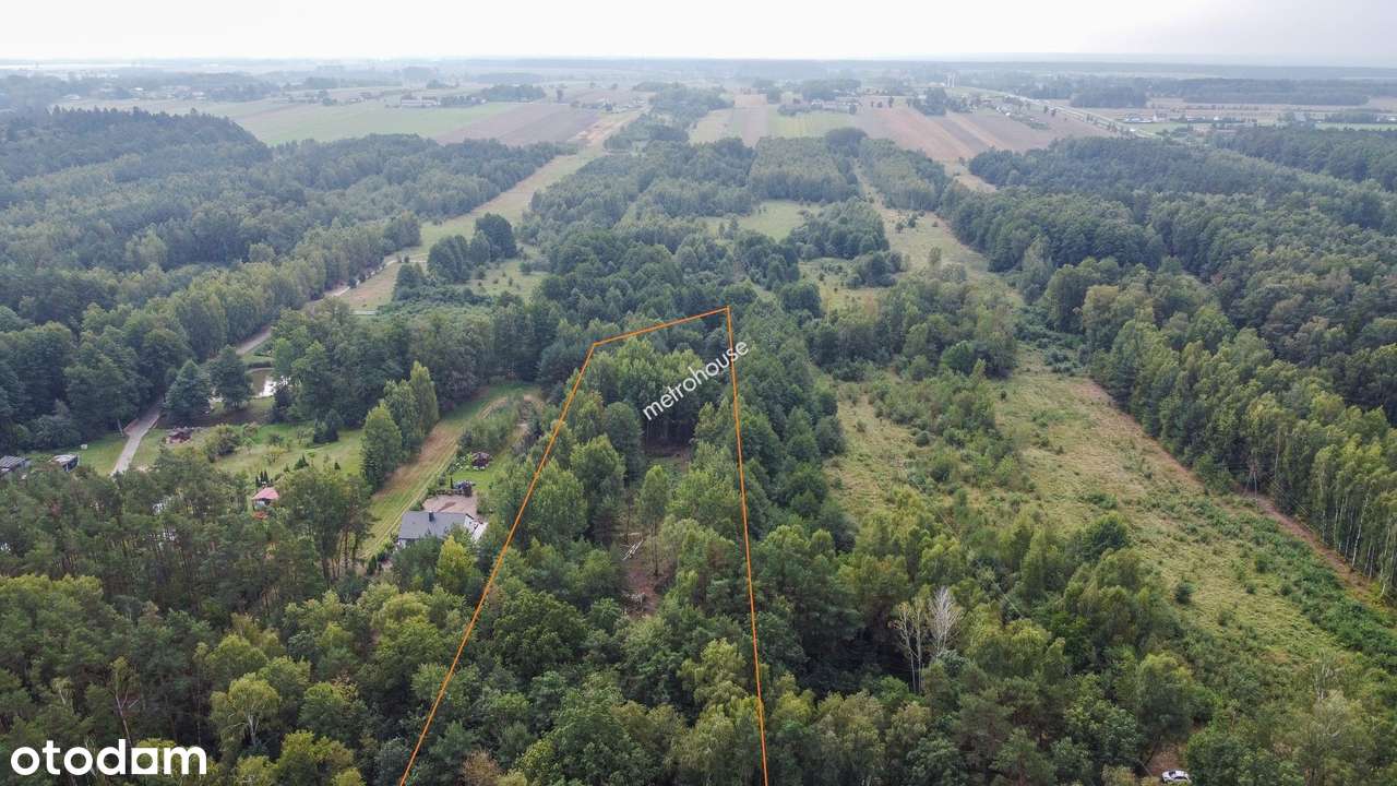 Działka budowlana z lasem 5653mkw - Pełny obrazek: 5/6