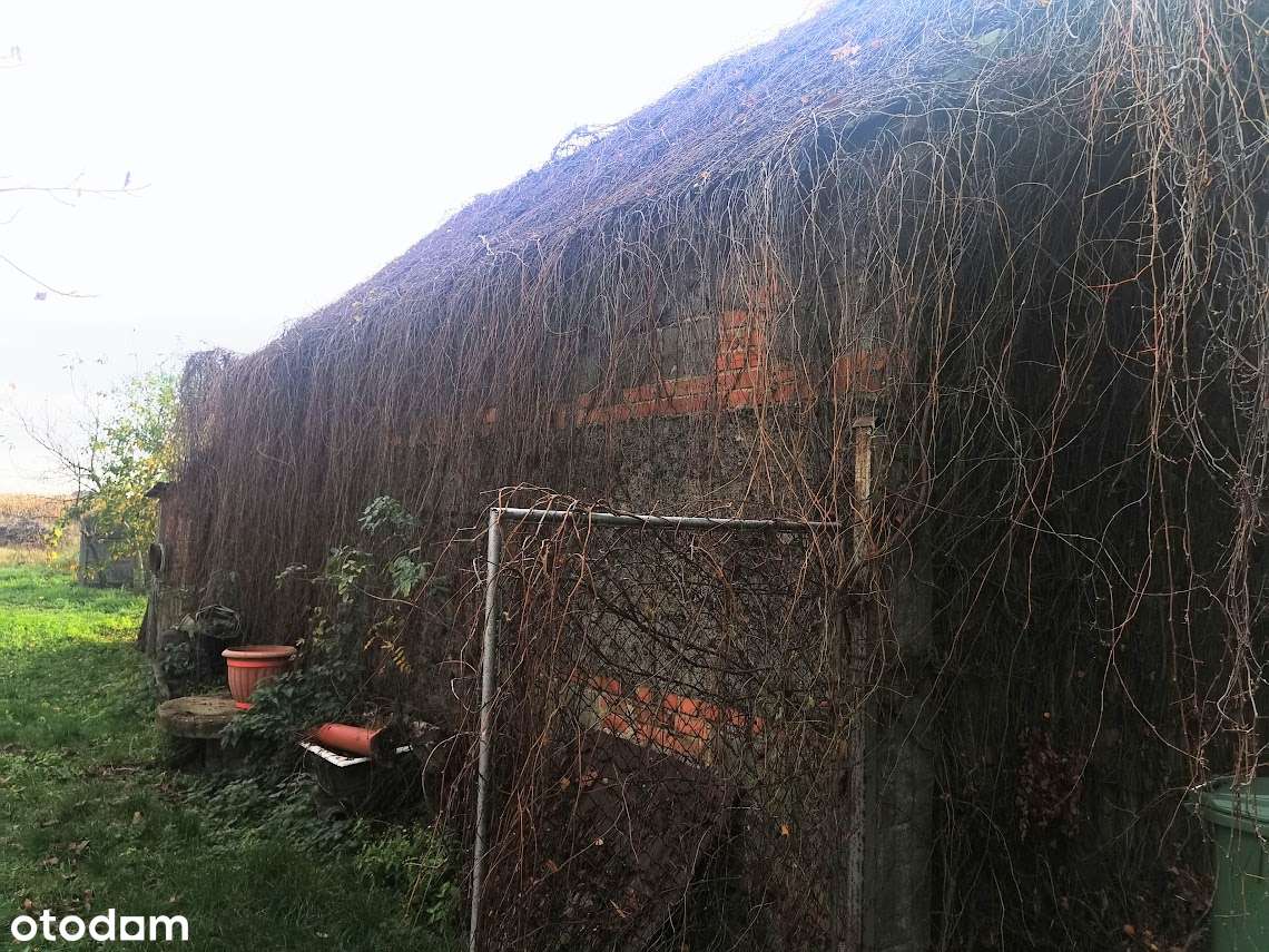 działka 2681m2/ budynek 50m2/ możliwość budowy domu-4