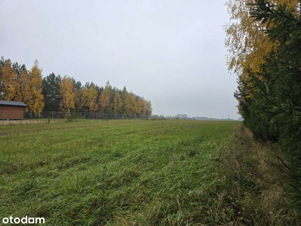 Działka Z Linią Brzegową Jeziora Okmin, Suwałki-4