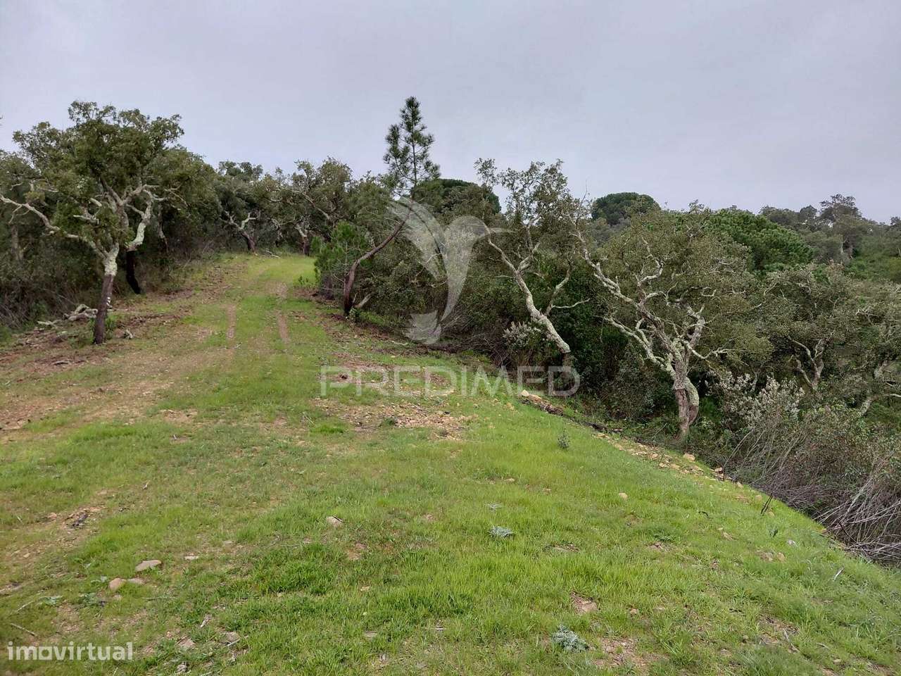 Terreno rústico com 4,050 hc,Quinta Nova, São Francisco da Serra. - Grande imagem: 5/10