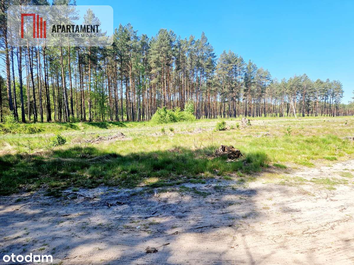 Działka budowlana otoczona lasem. Tylko u nas !!! - Pełny obrazek: 4/7