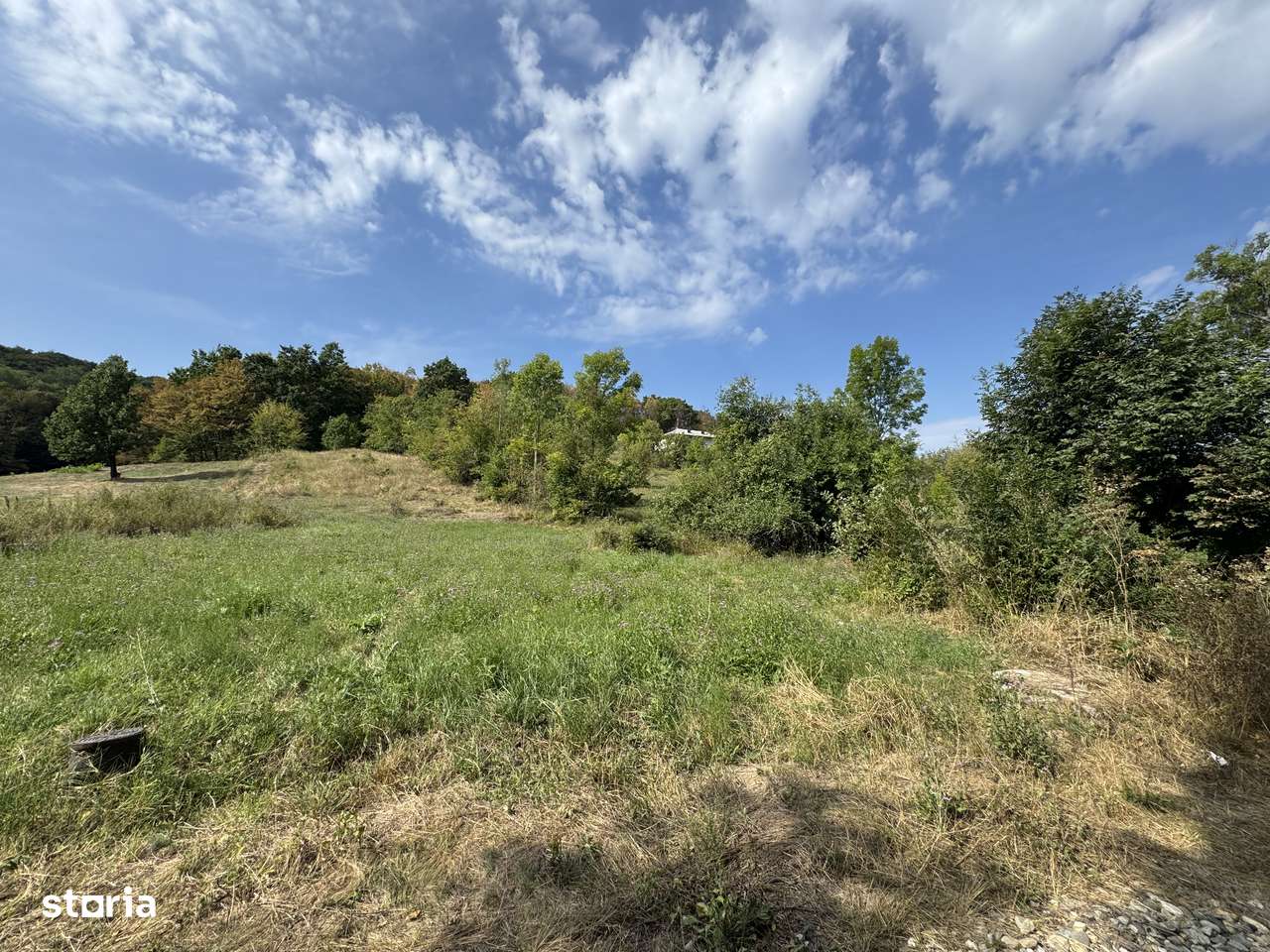 Teren și Pădure - Băbana - Imagine principală: 2/5