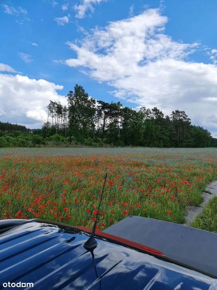 Szteklin działka nad jeziorem, UZBROJONA !! - Pełny obrazek: 4/7