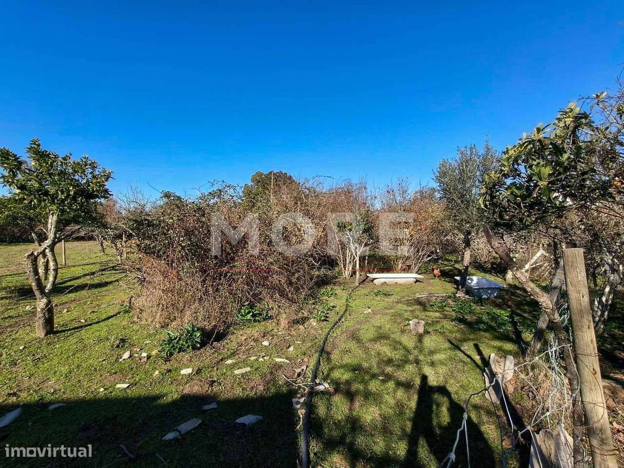 Terreno com 9500 m² – Évora-18